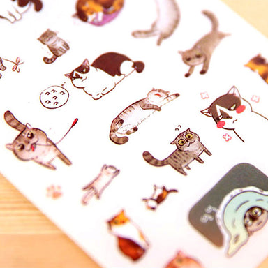 Korean Style Cat Buddy Clear Sticker Set