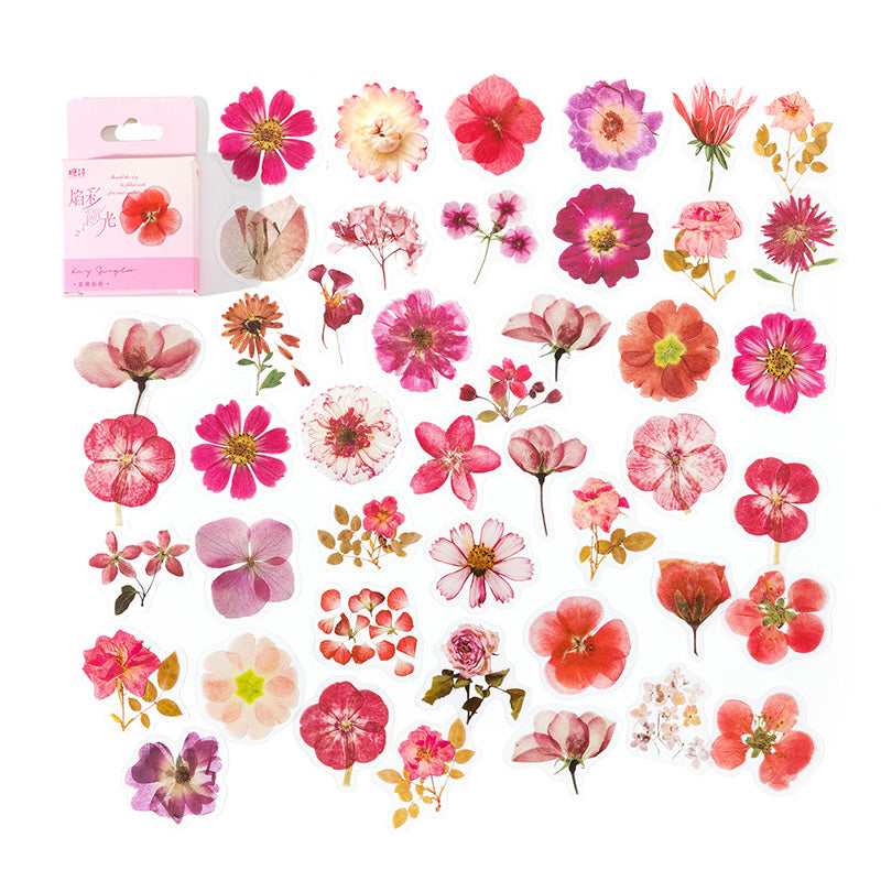 Rosy Sunglow pink and coral pressed flower stickers spread beside their pink hang-tab card box