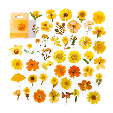 Golden Mantra yellow and orange flower stickers spread beside their orange hang-tab card box