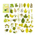 Shimmer Forest green leaf stickers, ferns and clover pieces spread beside their green hang-tab card box