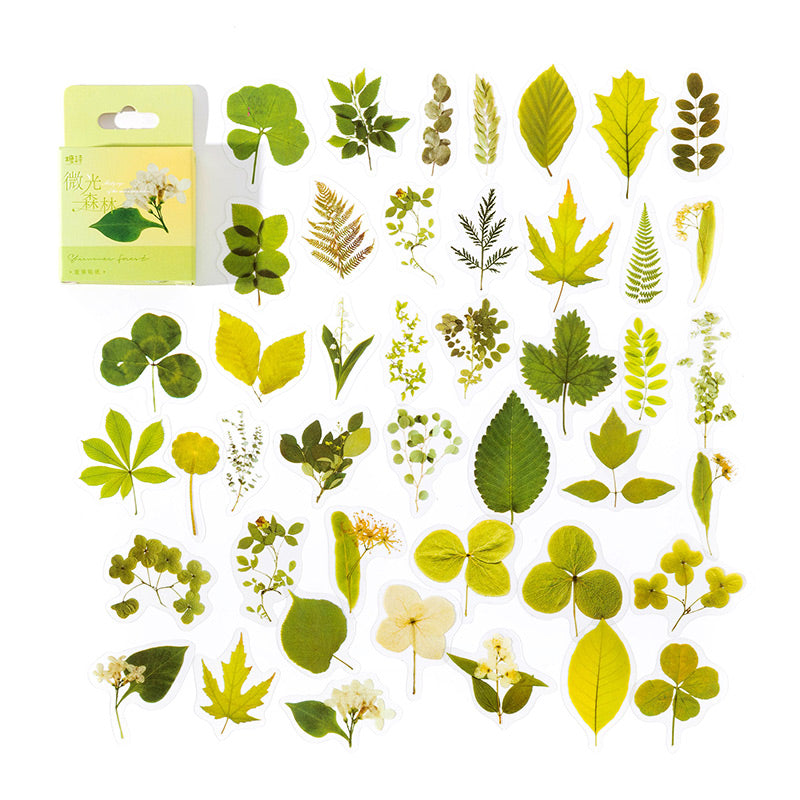 Shimmer Forest green leaf stickers, ferns and clover pieces spread beside their green hang-tab card box