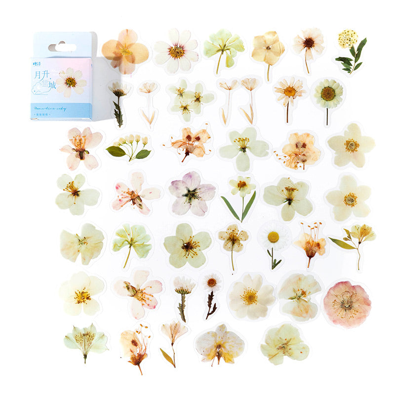 Moonshine City white and cream blossom stickers spread beside their pale blue hang-tab card box