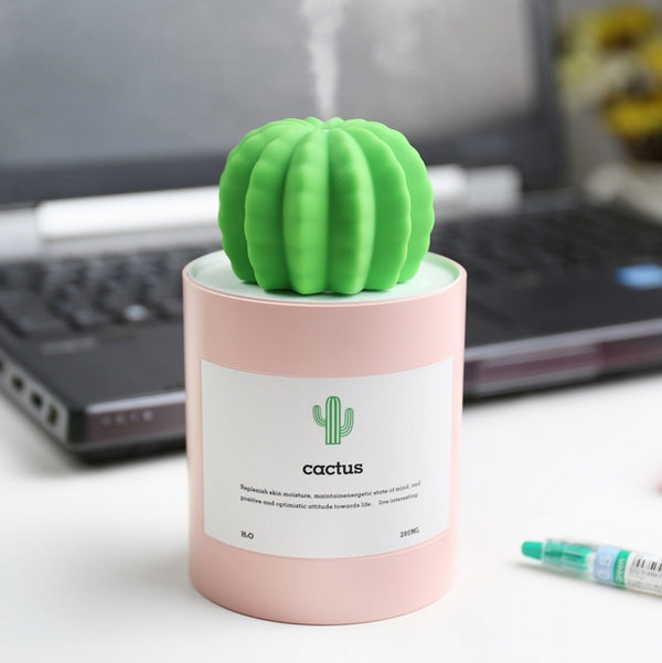 humidifier succulents Cactus USB Humidifier