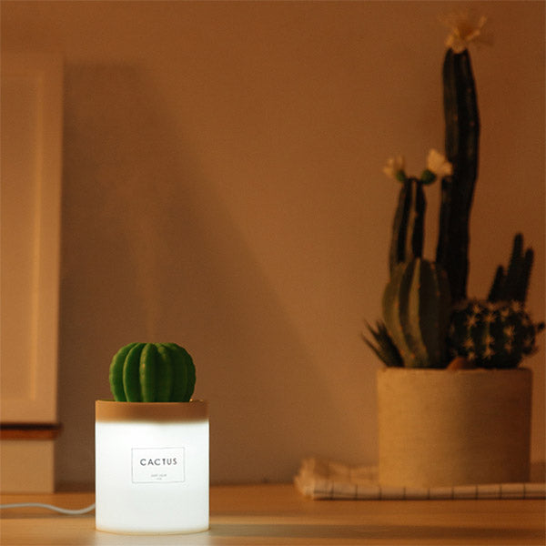 humidifier succulents Cactus USB Humidifier