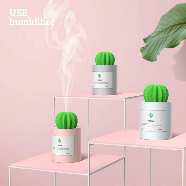 humidifier succulents Cactus USB Humidifier