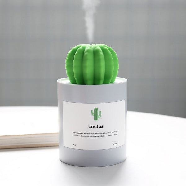 Cactus USB Humidifier, Gray