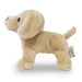 Furry Puppy Plush Toy