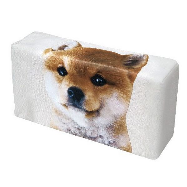 Tissue Box Cover (Take from Mouth), Shiba Brown