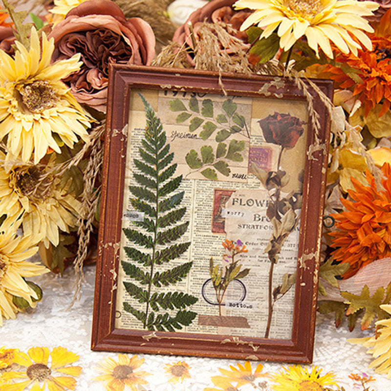 Translucent Botanical Flowers, Ferns and Leaves Stickers — A Lot Mall
