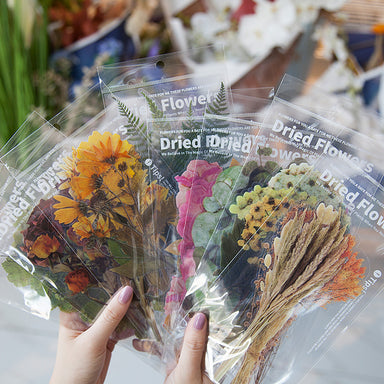 Translucent Botanical Flowers, Ferns and Leaves Stickers