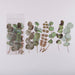 Translucent Botanical Flowers, Ferns and Leaves Stickers, 5