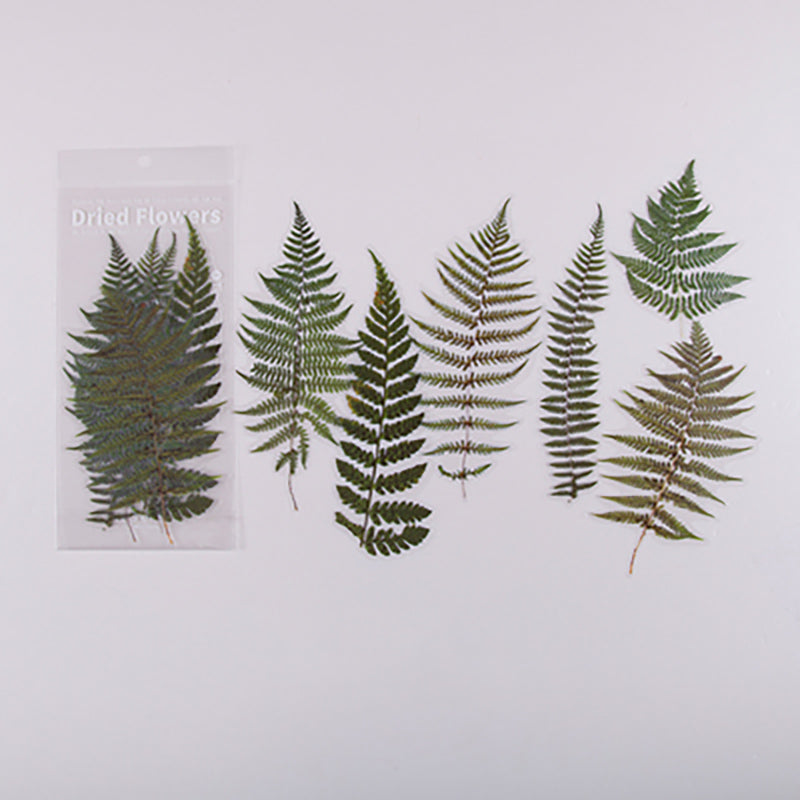 Translucent Botanical Flowers, Ferns and Leaves Stickers, 7