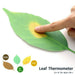 '+d Leaf Thermometer